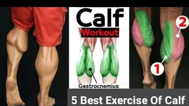'5 Best Excercise Of Calf | Revolt Fitness'